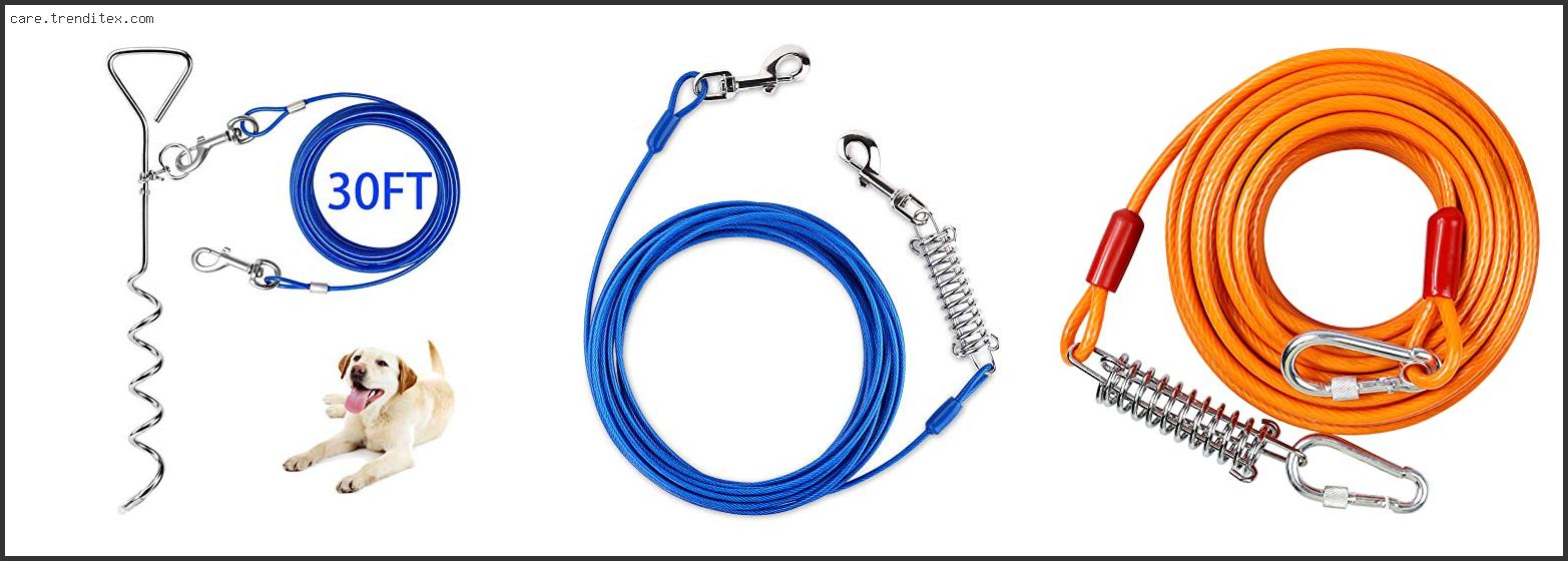 Best Dog Leads For Yard