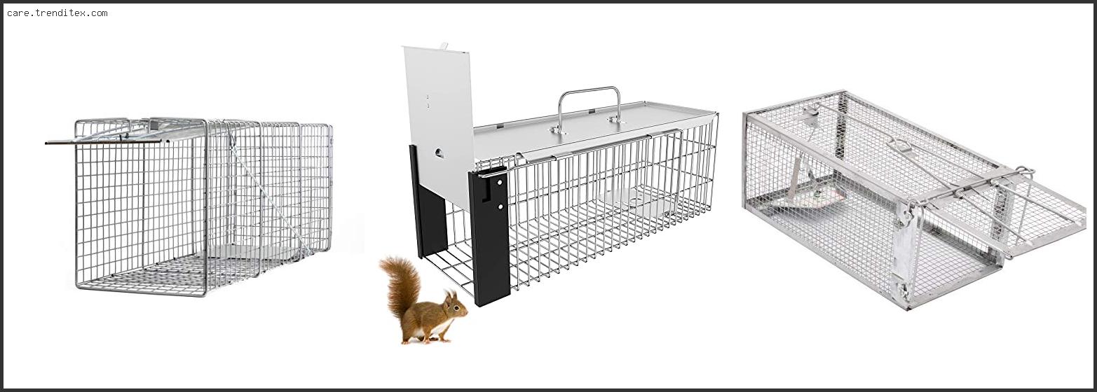 Best Live Trap For Rabbits