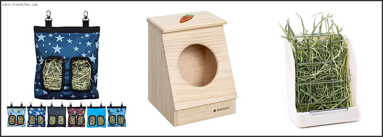Best Hay Feeder For Rabbits
