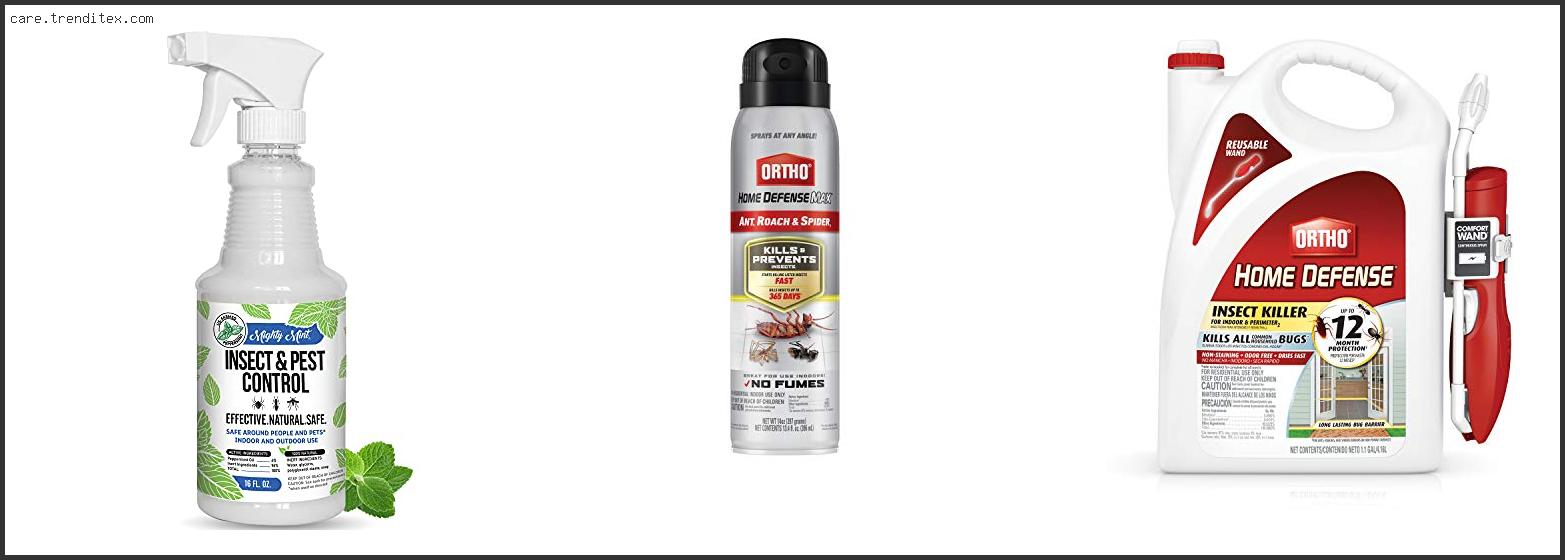 Best Insect Spray For Spiders