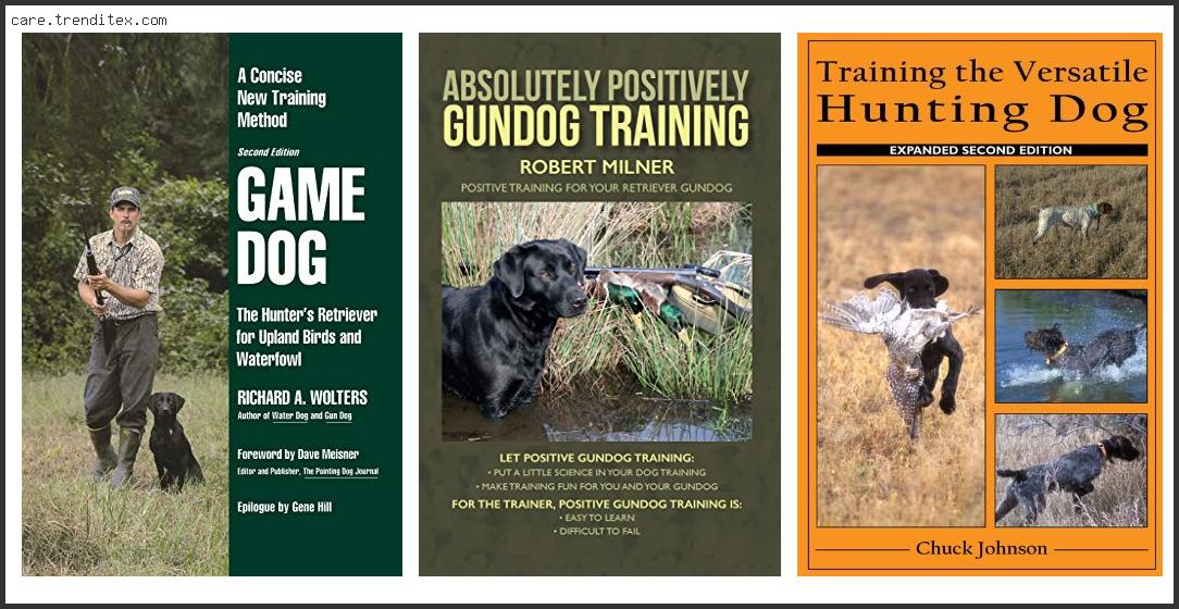 Best Upland Bird Dog Training Books