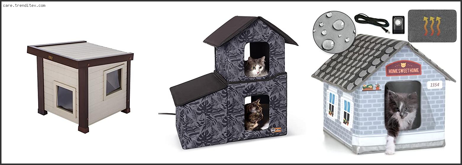 Best Outdoor Heated Cat House For Winter
