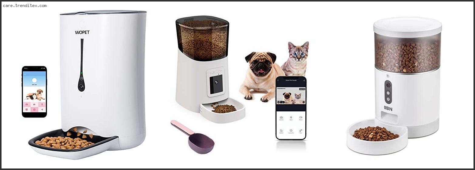Best Automatic Cat Feeder With Camera
