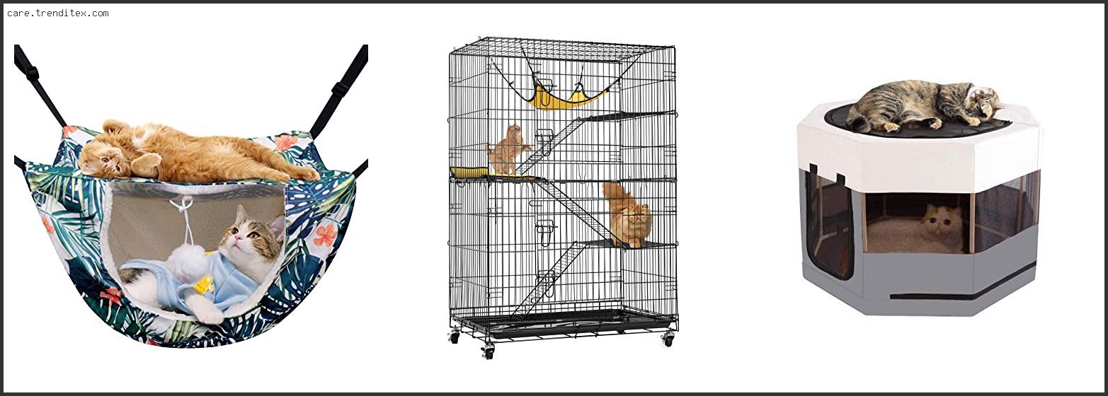 Best Cat Cages For Kittens