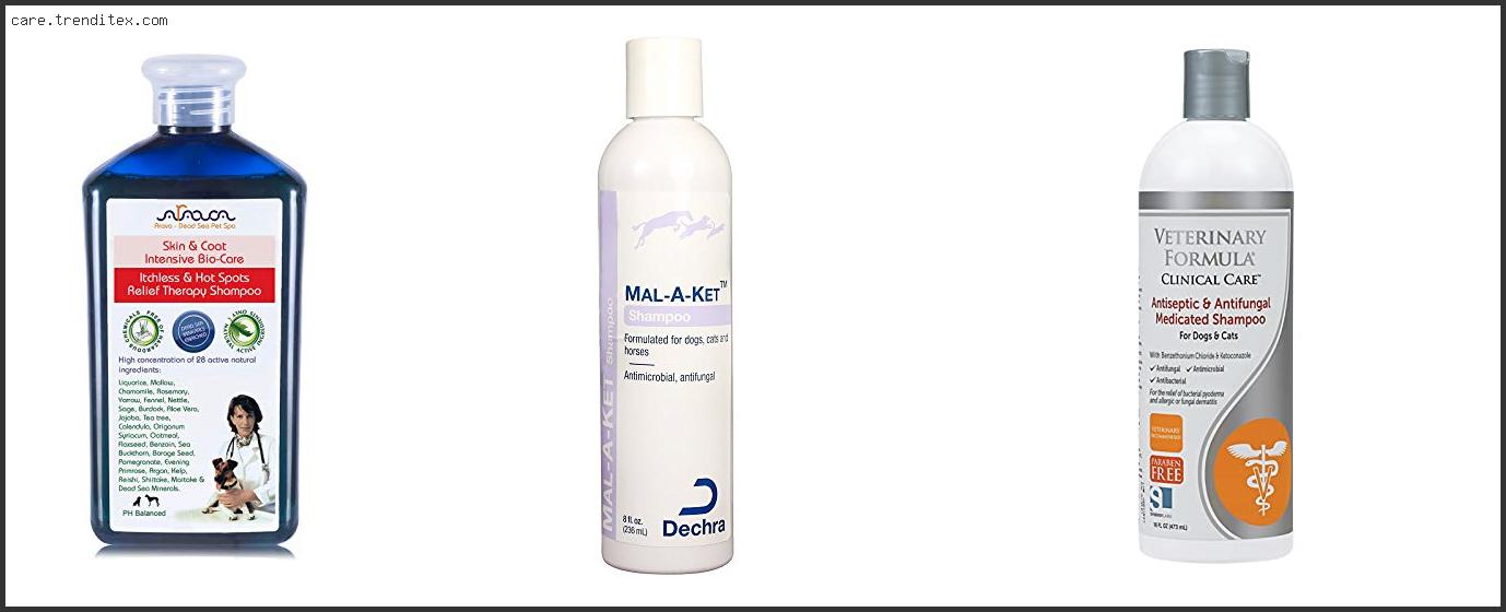 Best Antibacterial And Antifungal Dog Shampoo