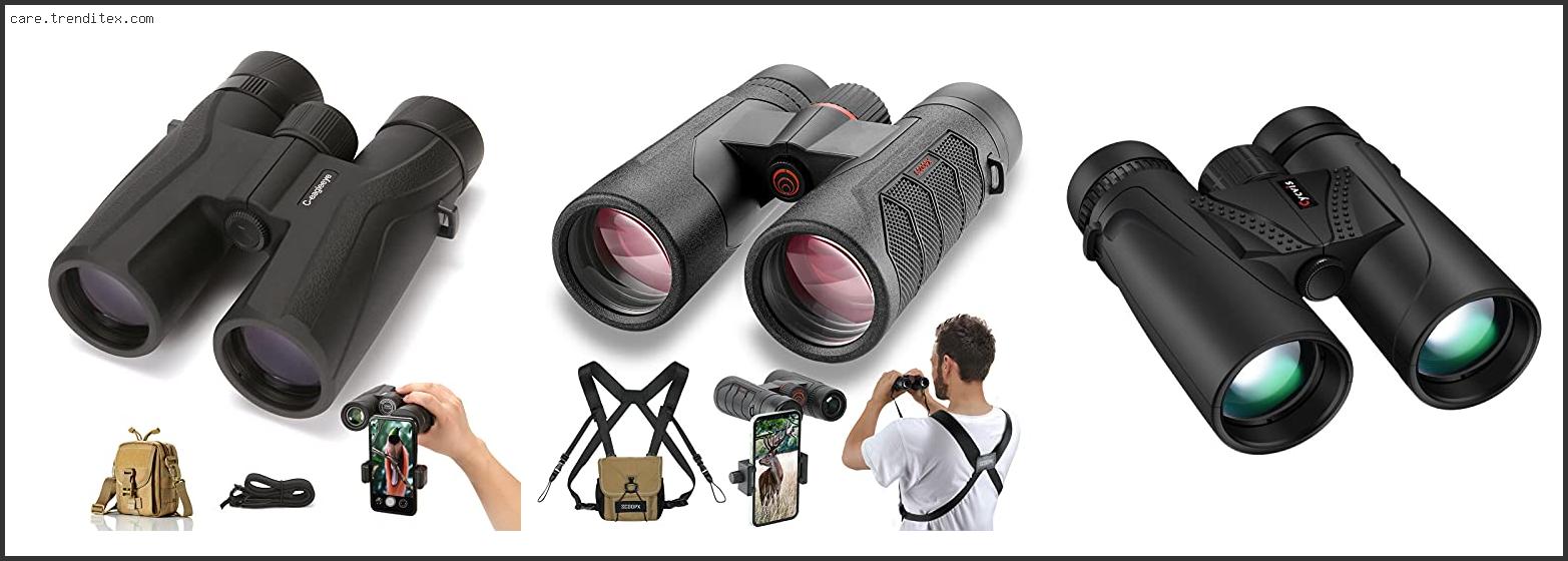 Best 10x42 Binoculars For Bird Watching