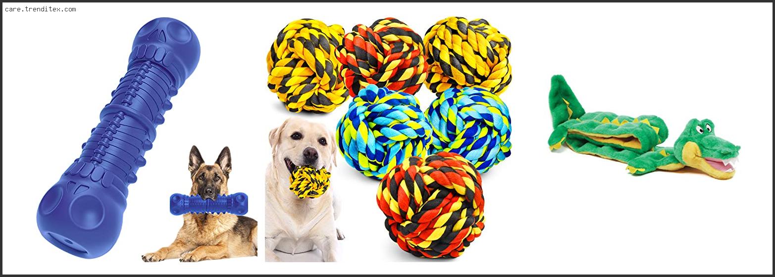 Best Dog Toys For Great Danes