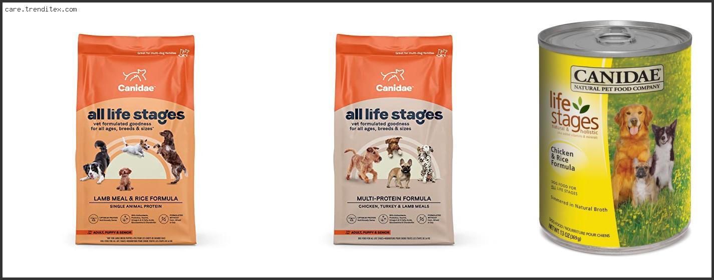 Best All Life Stages Dog Food