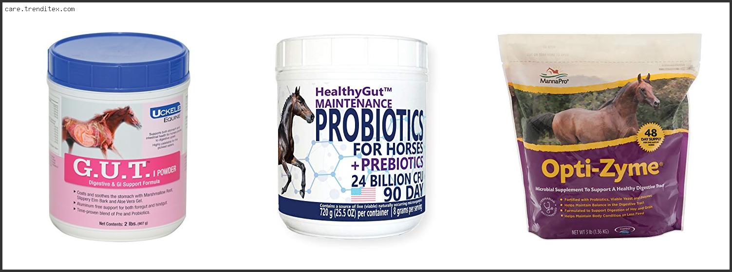 Best Horse Digestive Supplement