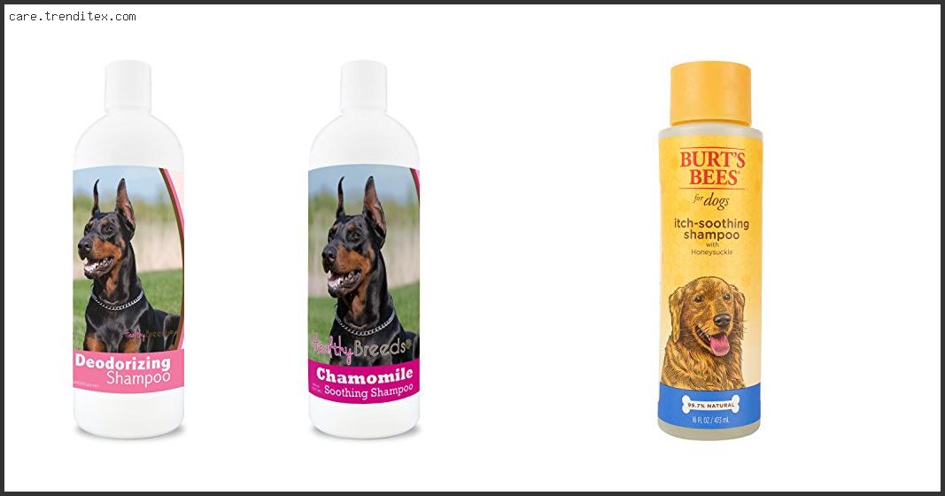 Best Dog Shampoo For Doberman