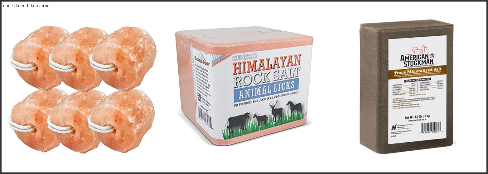 Best Mineral Block For Horses
