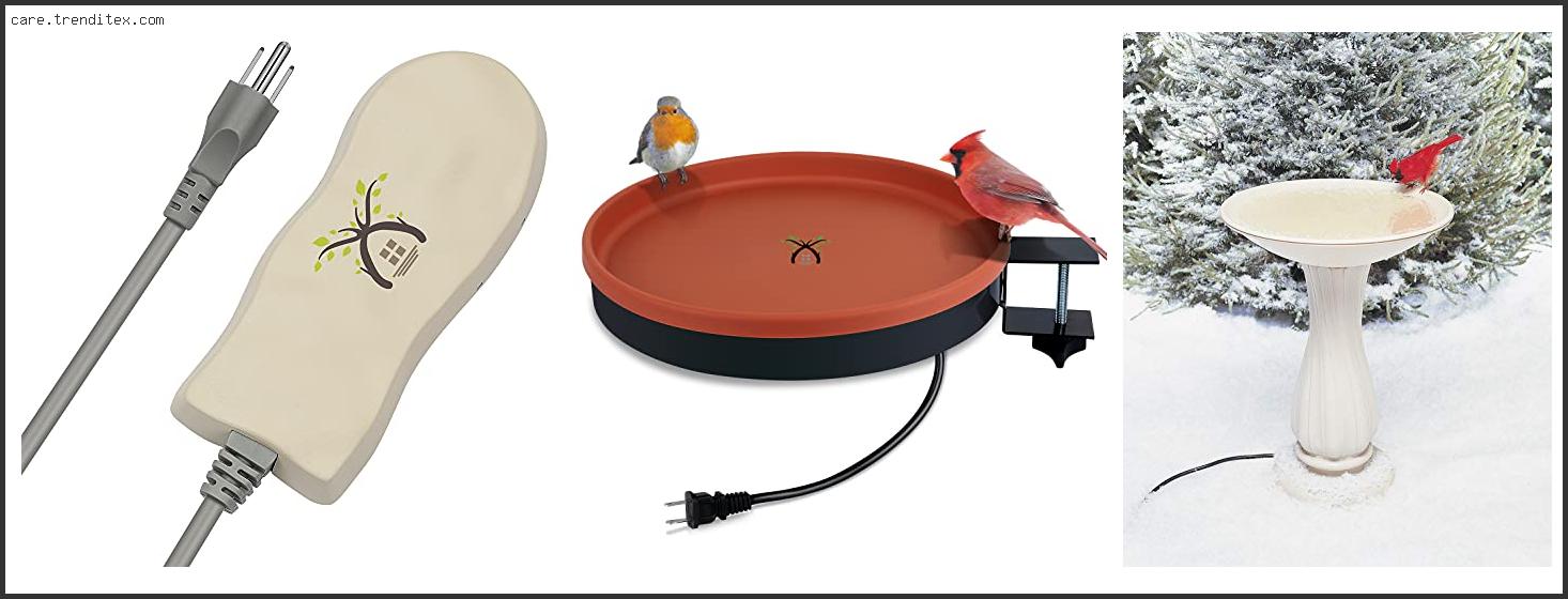 Best Solar Heated Bird Bath