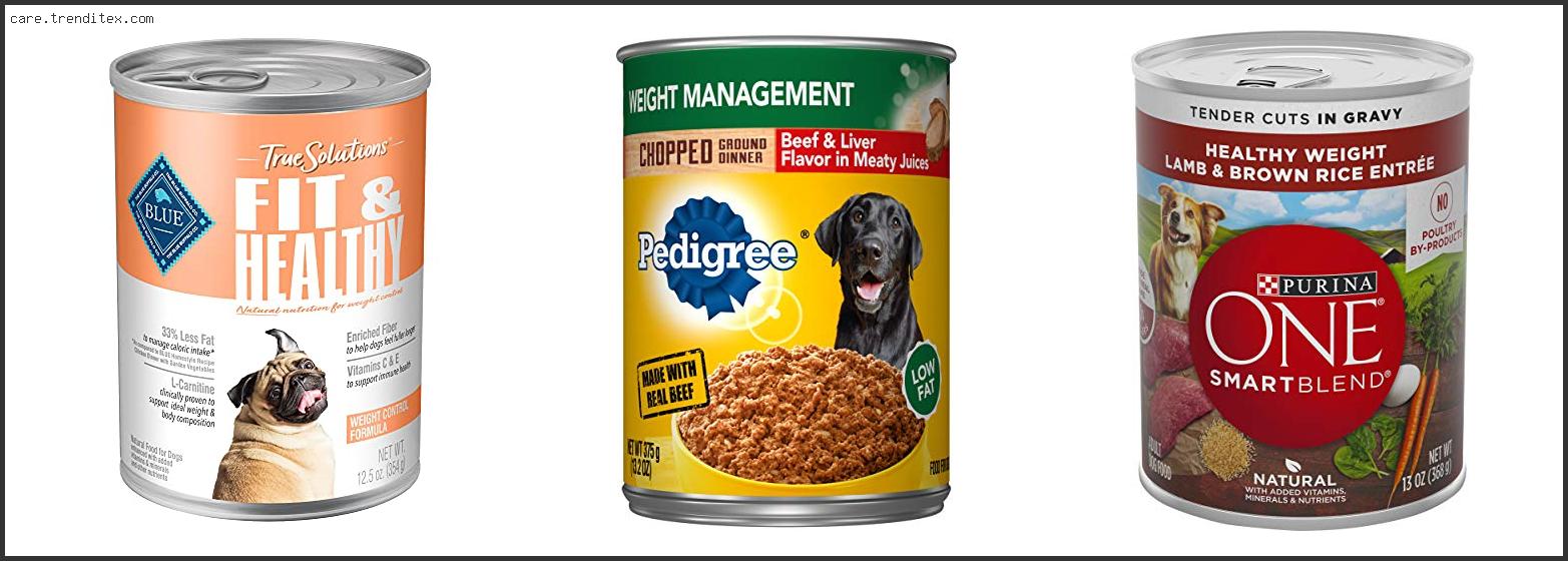 Best Weight Management Wet Dog Food