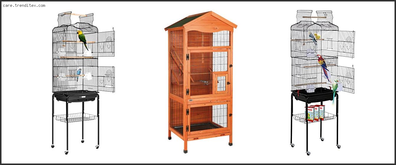 Best Bird Cages For Parakeets