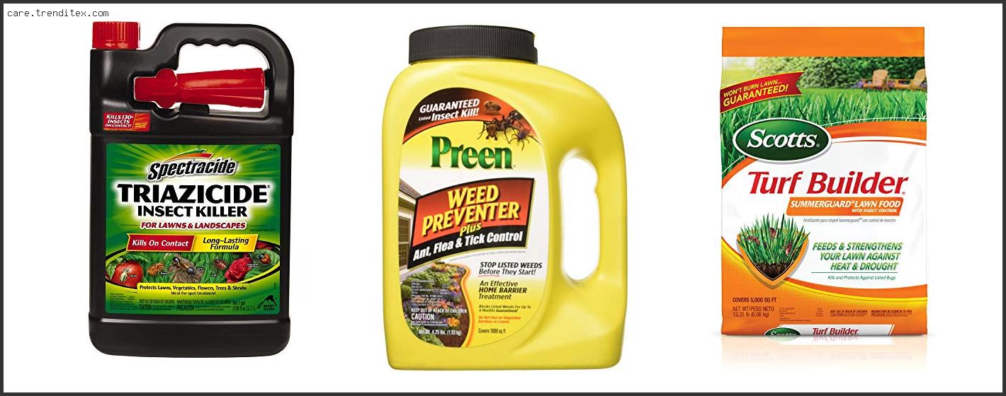 Best Weed And Insect Killer