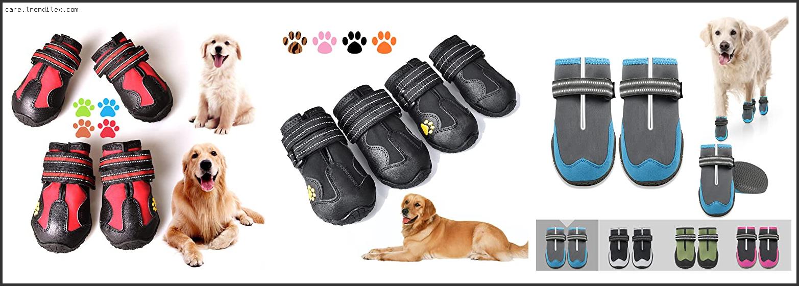 Best Dog Boots For Slippery Floors