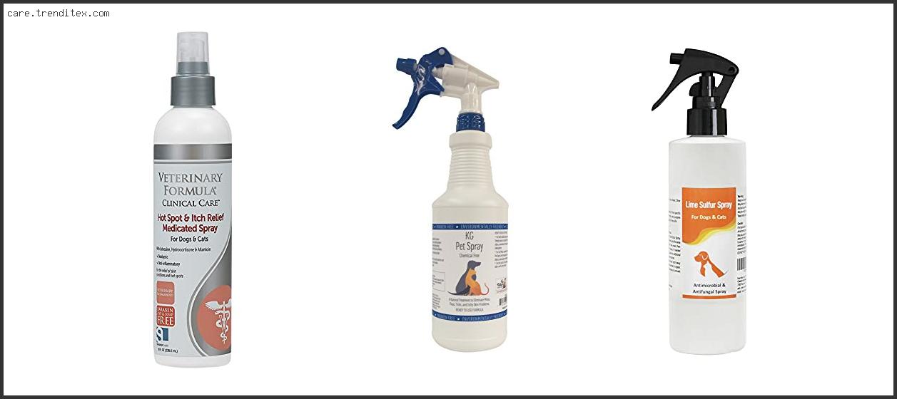 Best Mange Spray For Dogs