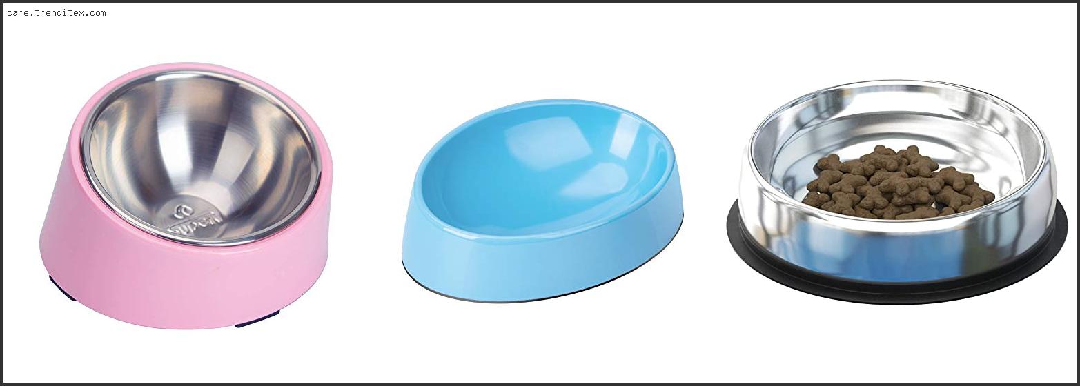 Best Dog Bowls For Flat Faced Dogs