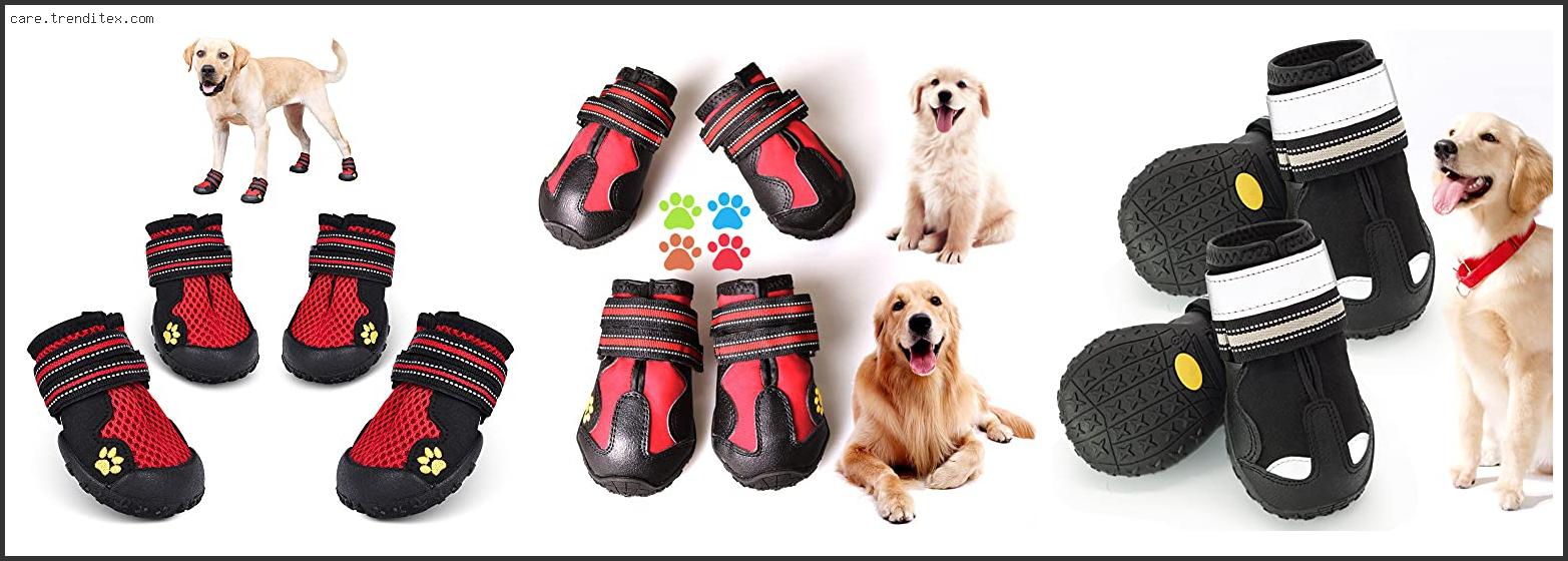 Best Boots For Boxer Dogs