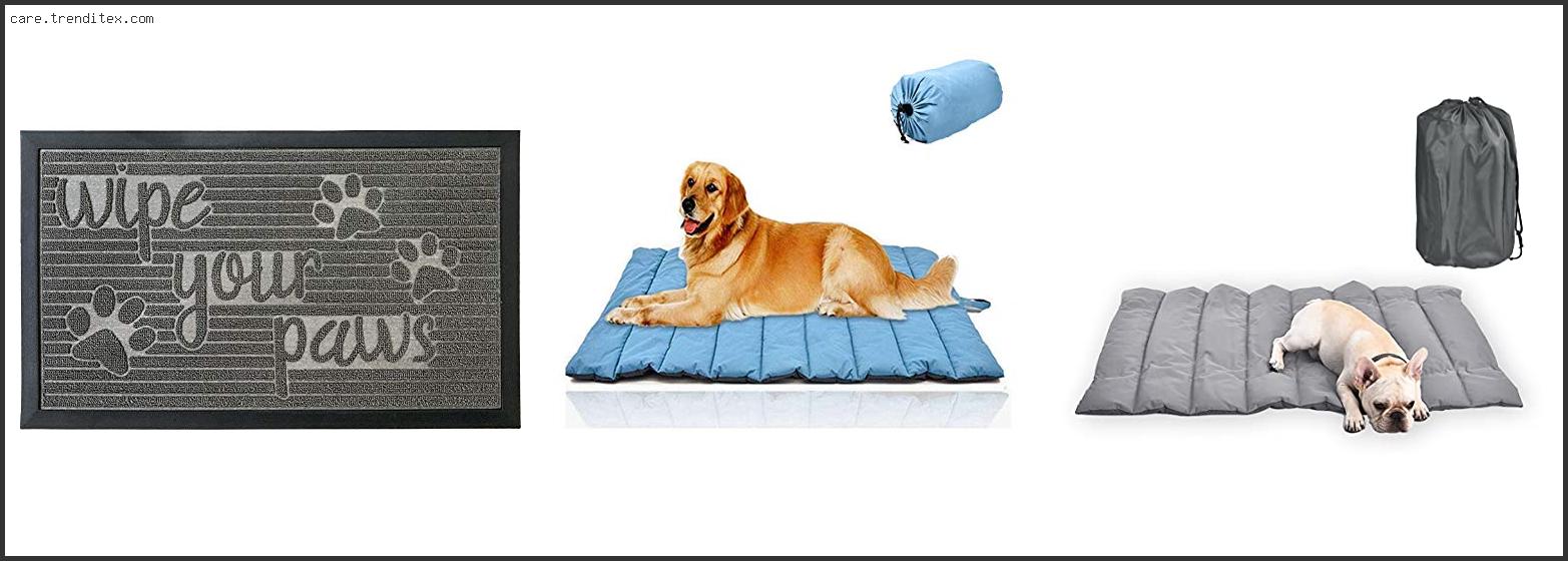 Best Outdoor Mat For Dogs