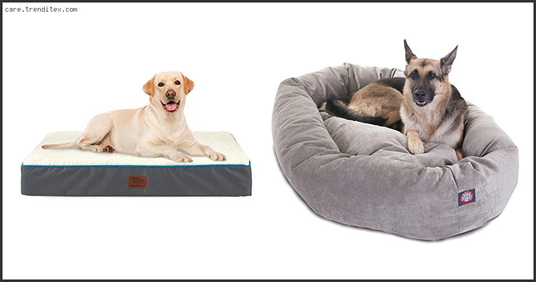Best Thick Dog Beds