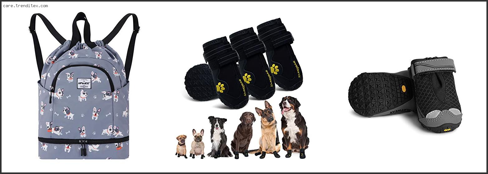 Best Dog Shoes For Swimming