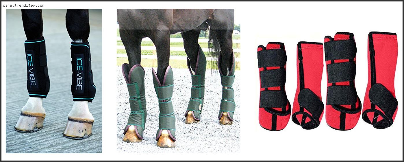 Best Shipping Boots For Horses