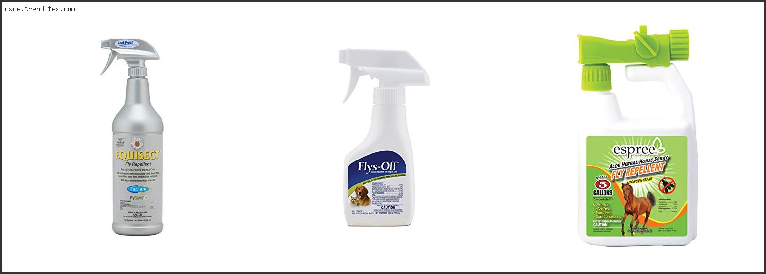 Best Fly Repellent For Dogs