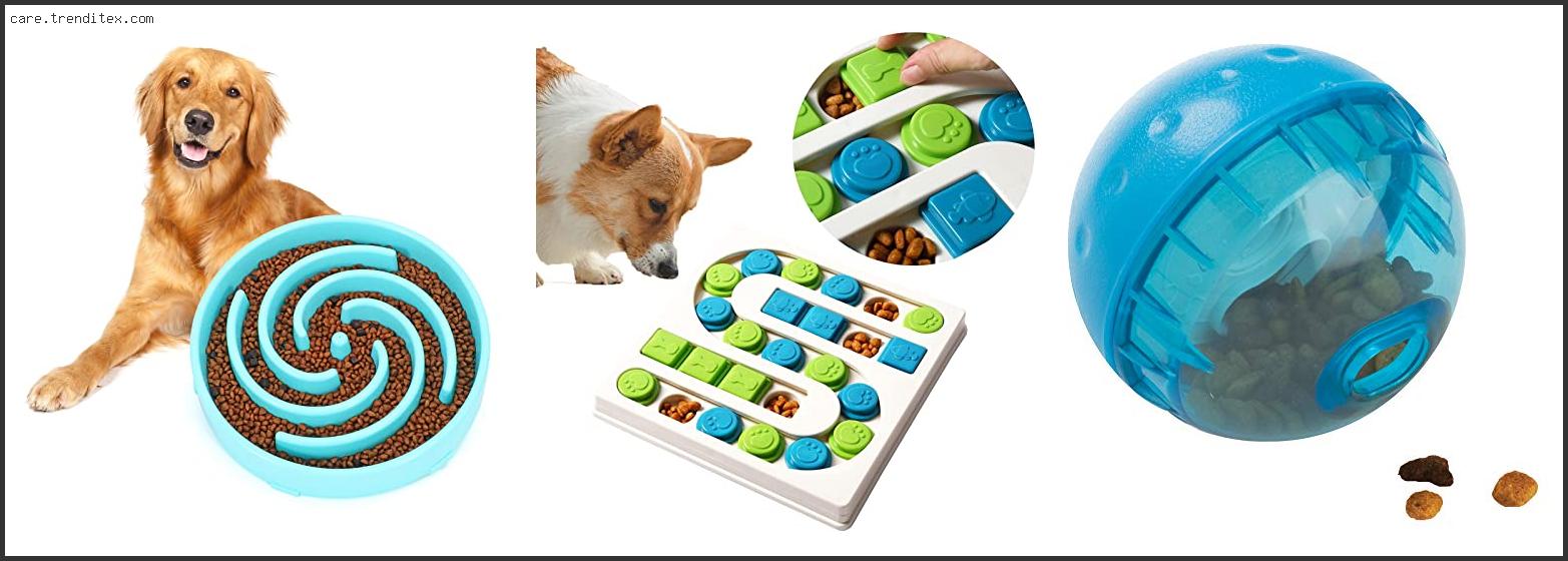 Best Puzzle Feeders For Dogs