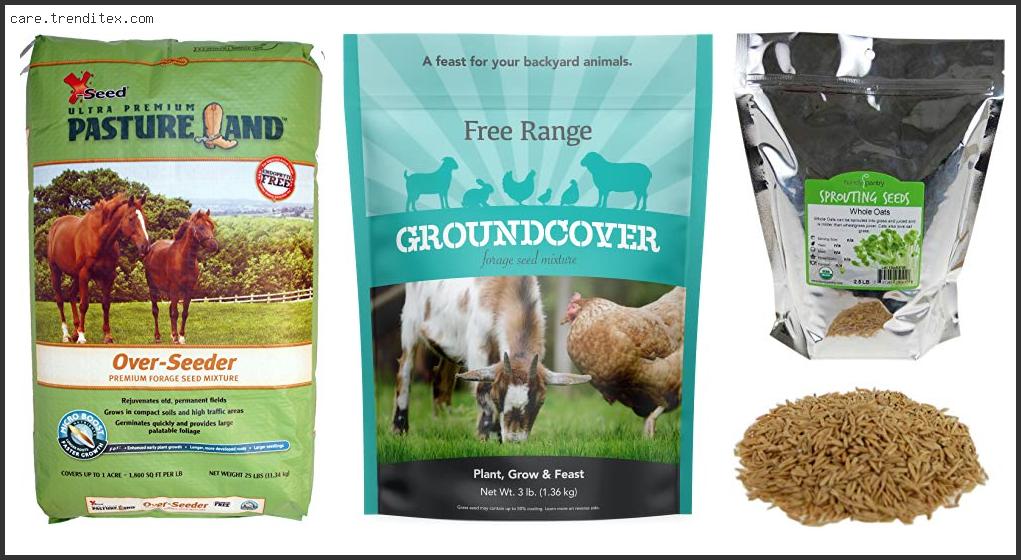 Best Grass Seed For Animals
