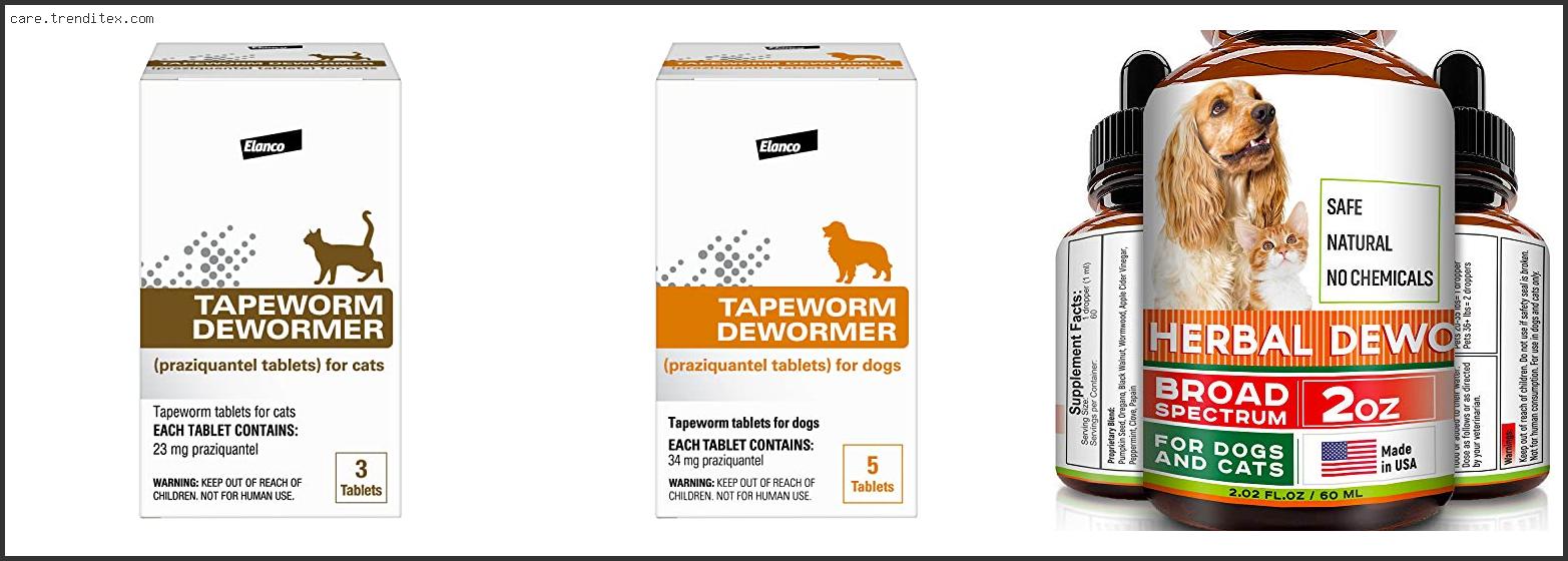 Best Tapeworm Medicine For Cats