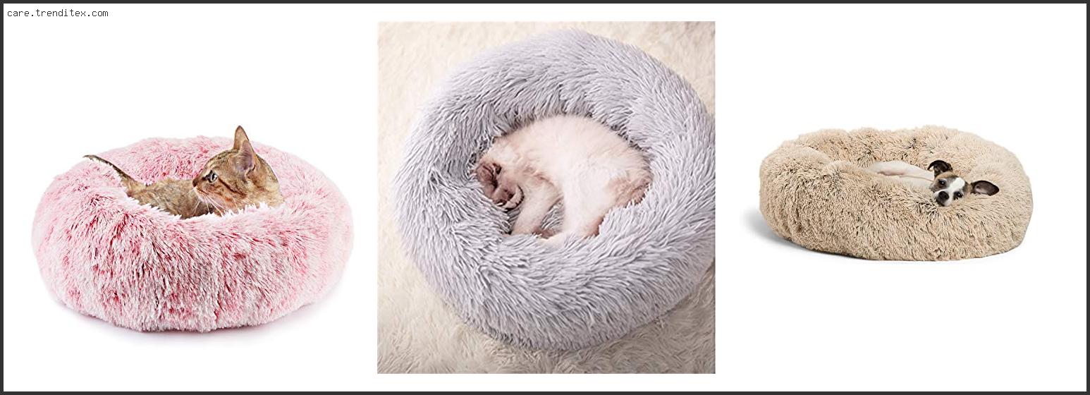 Best Donut Cat Bed
