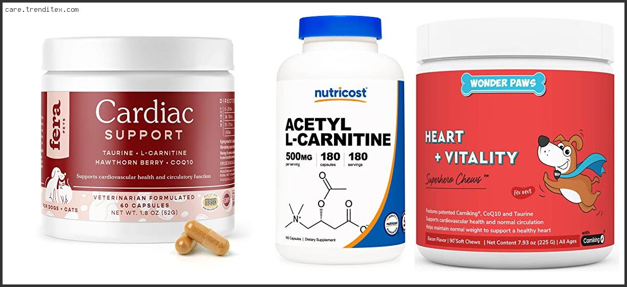 Best L-carnitine For Dogs