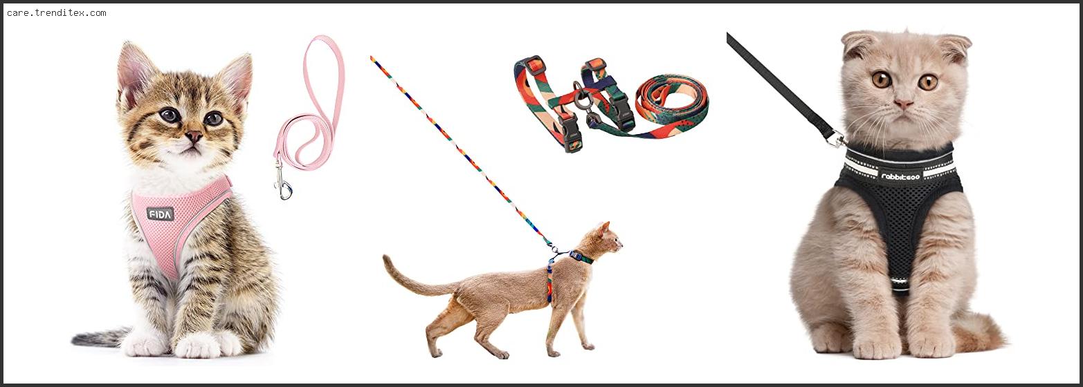 Best Cat Leashes And Harnesses