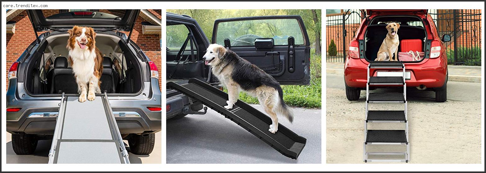 Best Dog Ramp For Suv