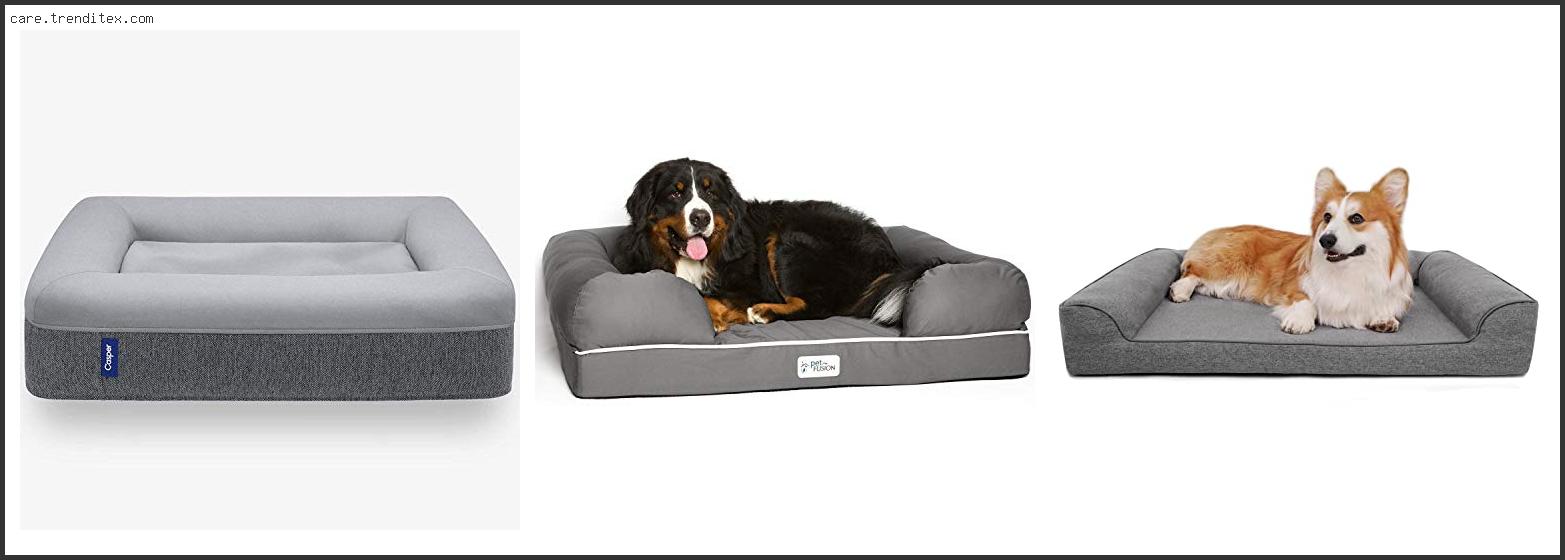 Best Memory Foam Dog Bed For Large Dogs