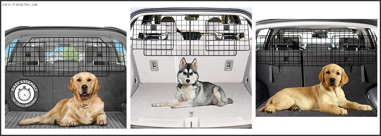 Best Dog Gates For Cars