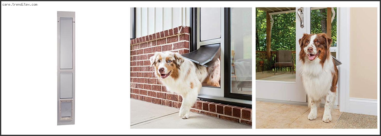 Best Pet Door For Sliding Glass Door