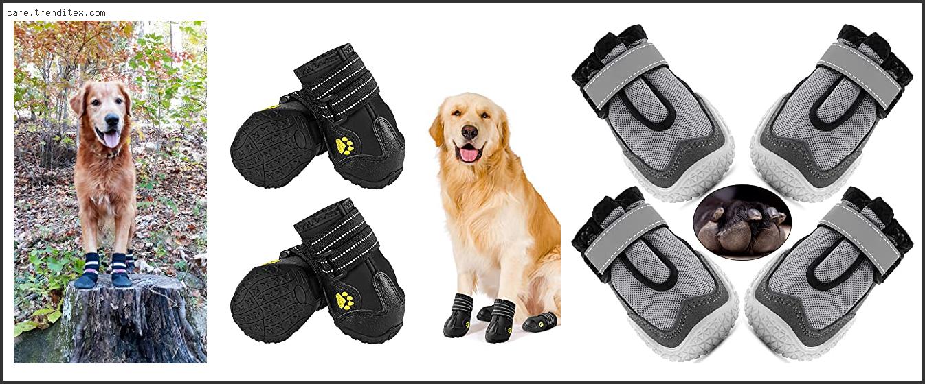 Best Dog Boots For Mud