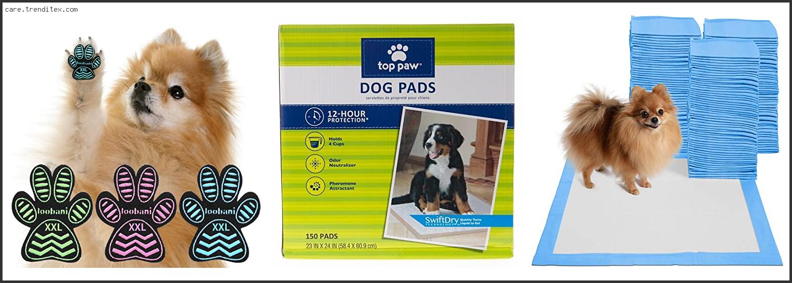 Best Paw Pads For Dogs