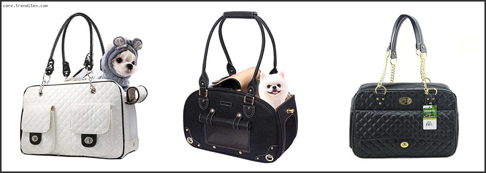 Best Designer Dog Carrier