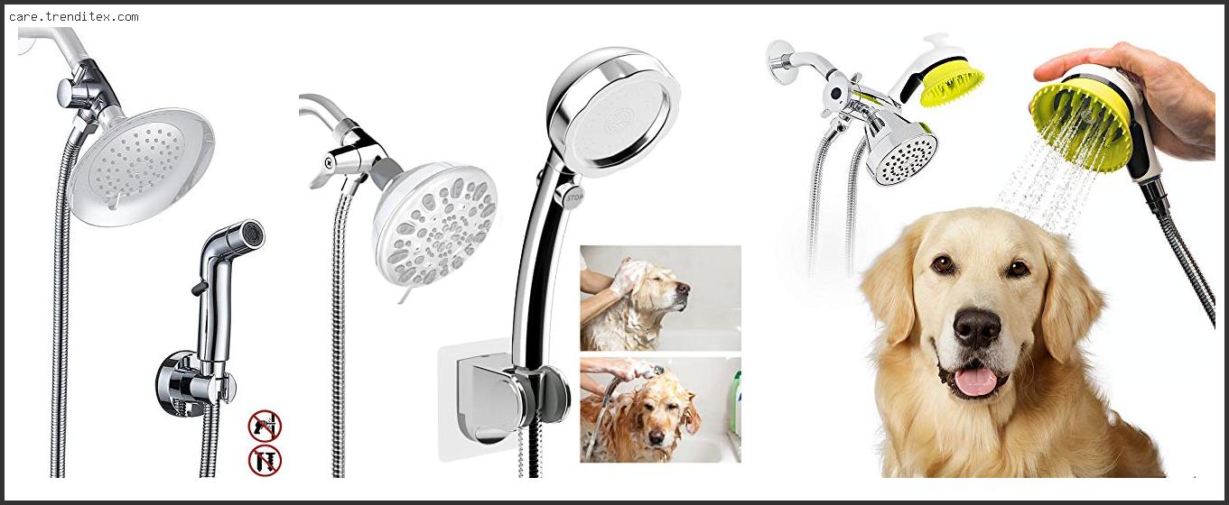 Best Shower Attachment For Dogs