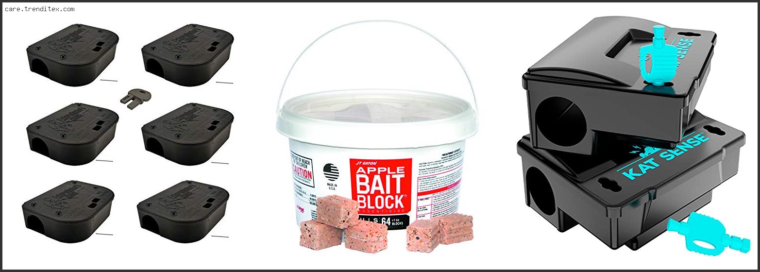 Best Raccoon Bait For Dog Proof Traps