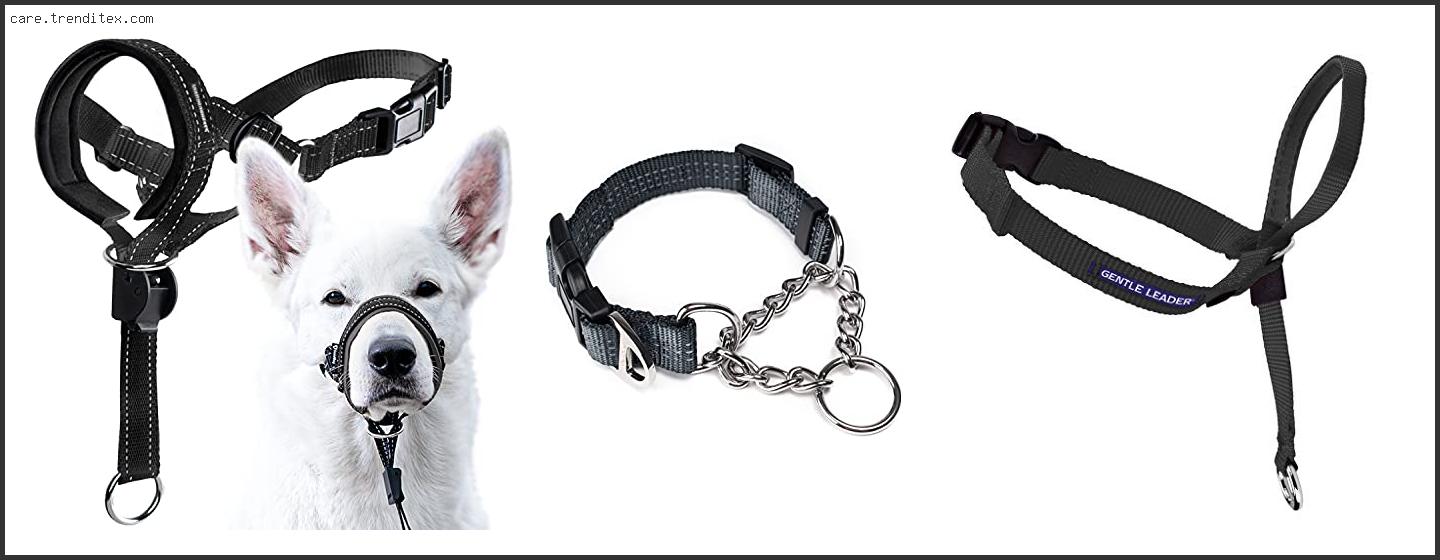 Best Training Collar For Dogs That Pull
