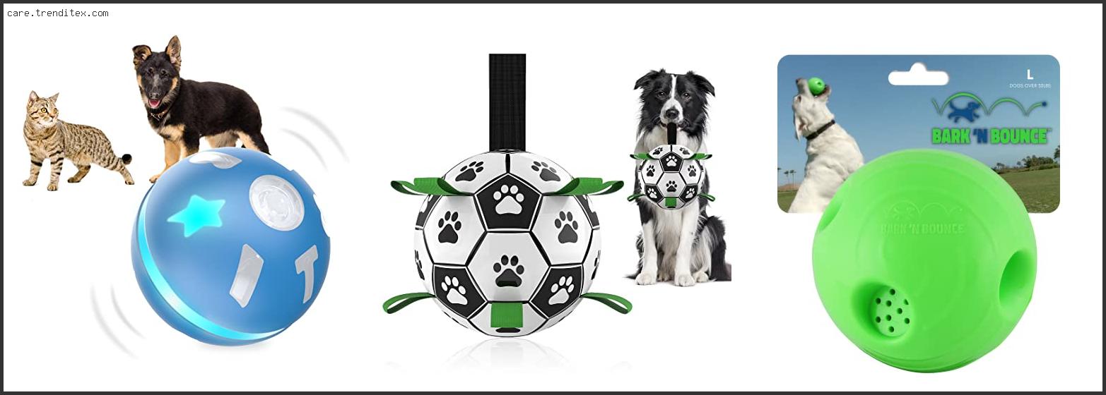 Best Smart Ball For Dogs