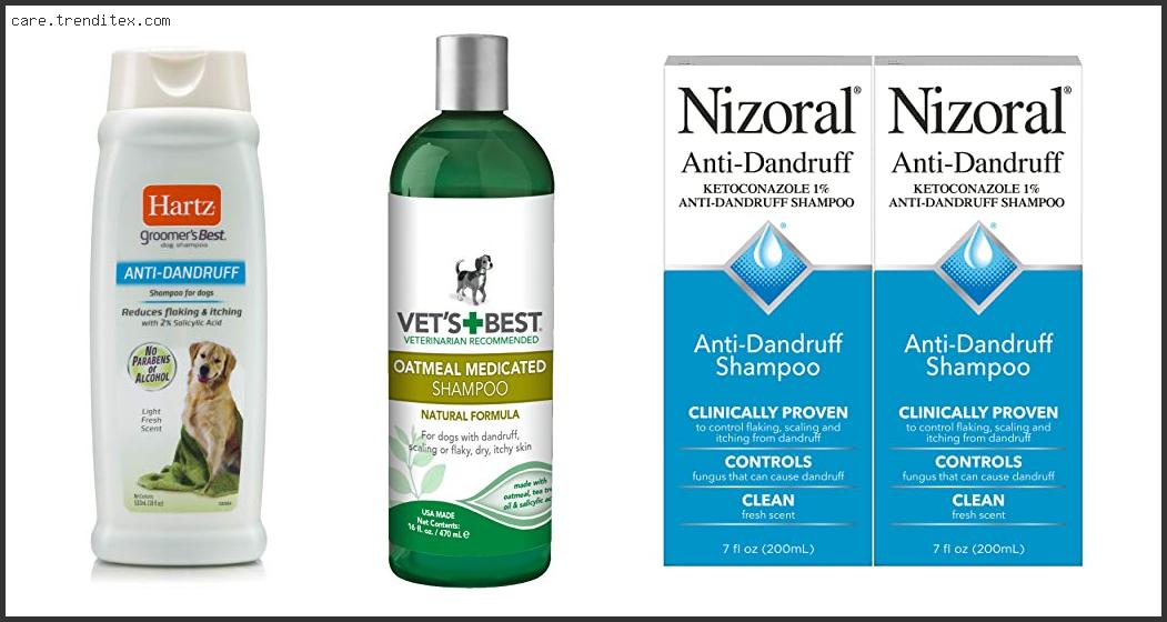 Best Dandruff Shampoo For Dogs