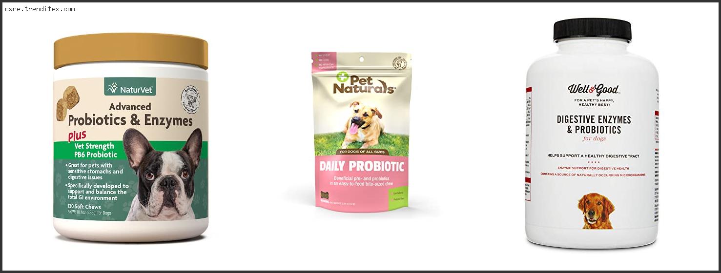 Best Digestive Enzymes And Probiotics For Dogs