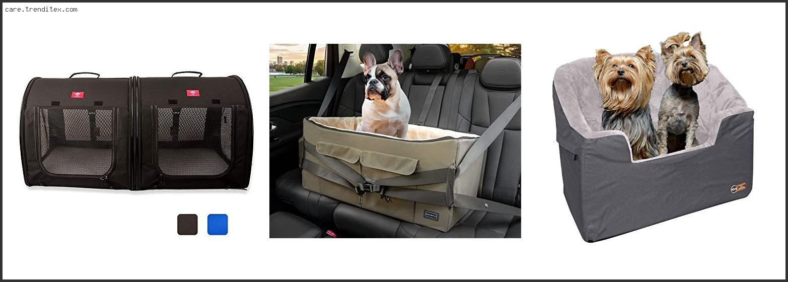 Best Dog Car Seat For Two Dogs