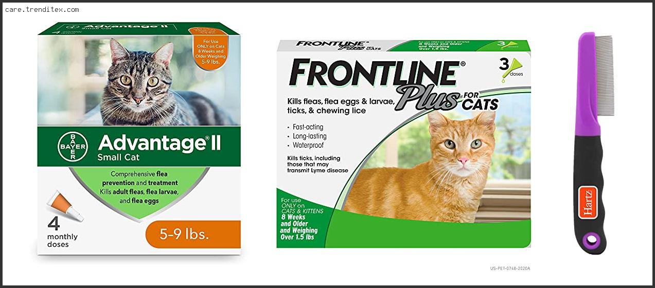 Best Flea Medicine For Long Haired Cats