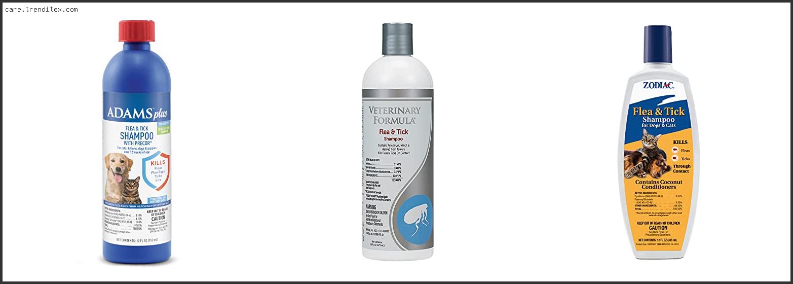 Best Flea And Tick Shampoo For Cats